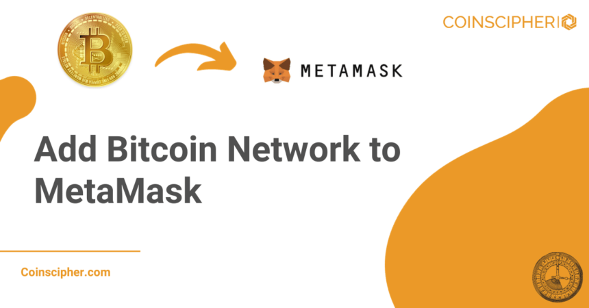 Add Bitcoin Network to MetaMask