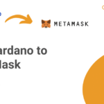 Add Cardano to MetaMask
