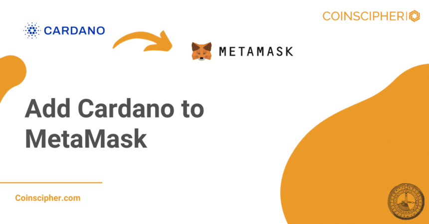 Add Cardano to MetaMask