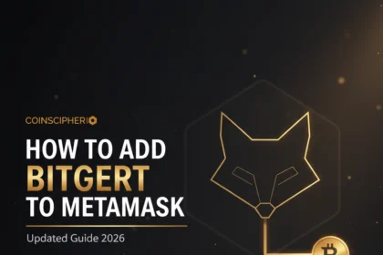 How to Add Bitgert to MetaMask Updated Guide 2026