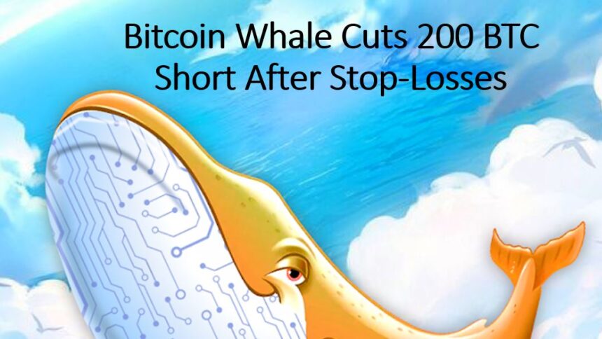 Bitcoin Whale Cuts Short Position After Stop-Losses Trigger