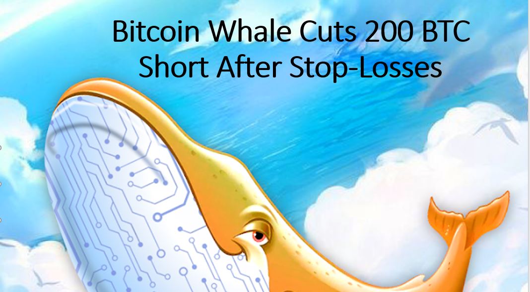 Illustration of a stylized Bitcoin whale against a blue sky background, representing a large BTC trader reducing a leveraged short position after stop-loss orders were triggered.
